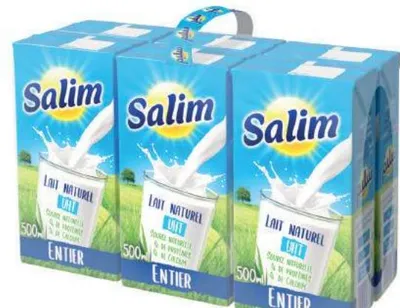 6 briques de lait entier UHT Salim 500ml