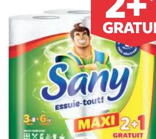 3 rouleaux d'essuie tout Sany maxi