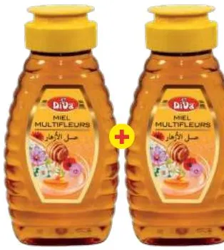 2 pots de miel squeezer multifleurs Diva 250g